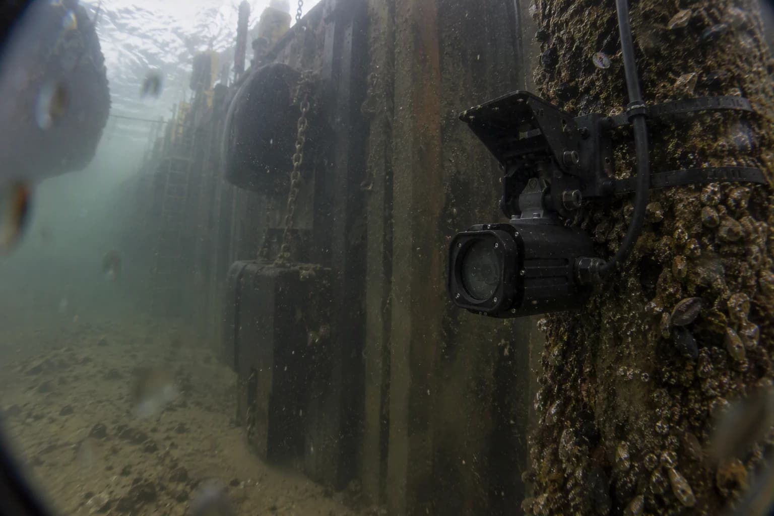 Underwater camera mounted on a marine-growth-covered harbour wall beside hanging tyres and chains. The environment is AI generated